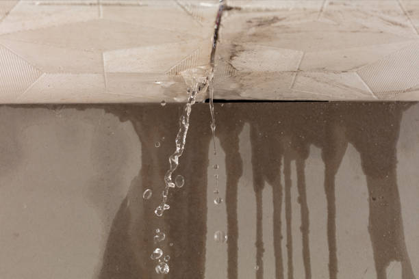 Professional Structural Drying technician working in Centre, AL